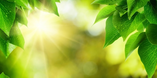 Getting Clean Energy from Dirty Places