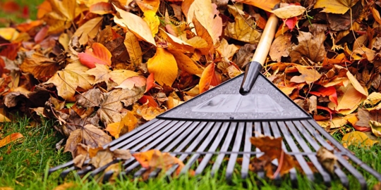 5 Home Performance Tips to Help You Rake in the Savings This Fall