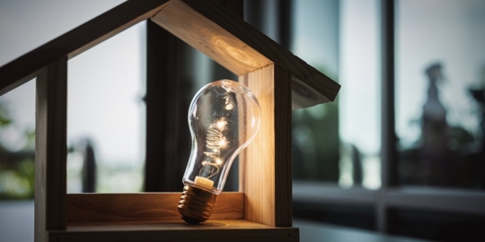 light bulb in a house casing