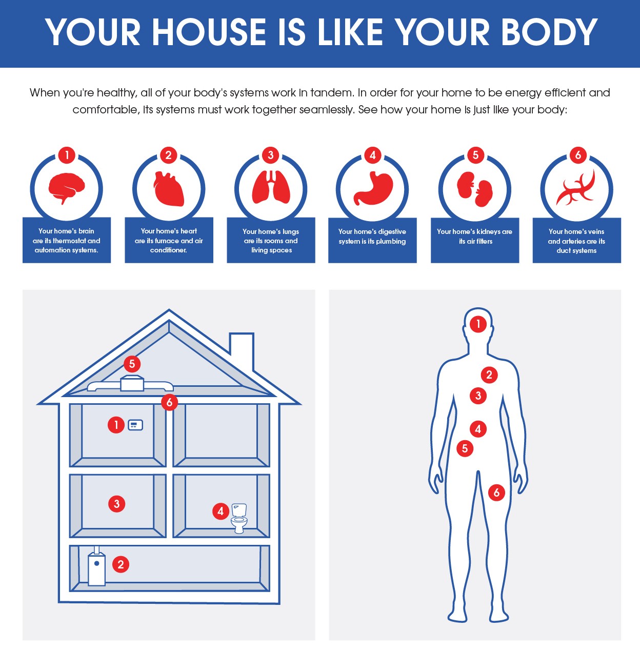infographic comparing a home's systems to that of the human body