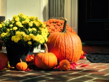 Pumpkins on Front Step of House