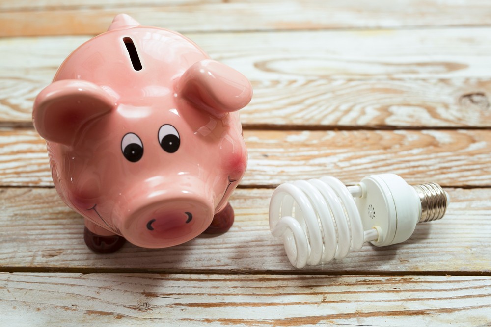 piggy bank and energy efficient light bulb, saving energy concept